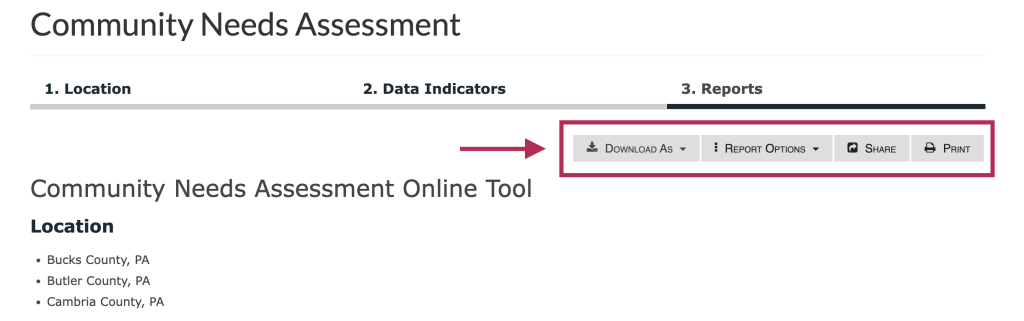 Step 5 of the assessment tool. The picture shows a screenshot of the report functions menu at the top right of the report screen. The first button allows users to download the report as a PDF, Word document, or Excel file. The second button allows users to turn Report Options on and off. The third button allows users to get a shortlink to share the report with others. The fourth button allows users to print the report. The fifth and final button allows users to save the report to the users profile. 